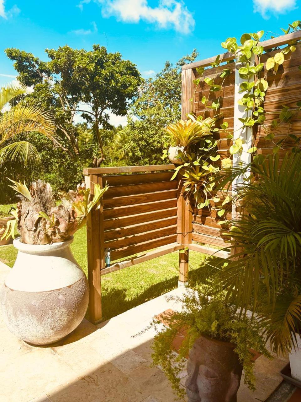 La Cocoteraie Daire Barington Dış mekan fotoğraf